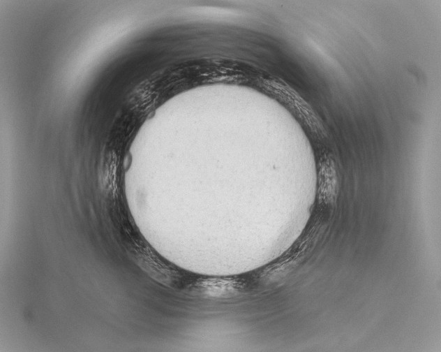 X0000115710762200912101237