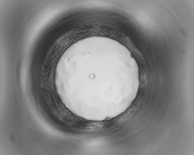 X0000115710765200912101237