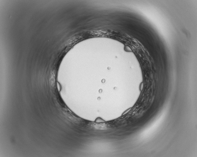 X0000115710767200912101237