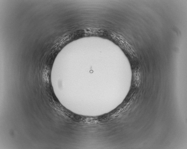 X0000115710770200912101236