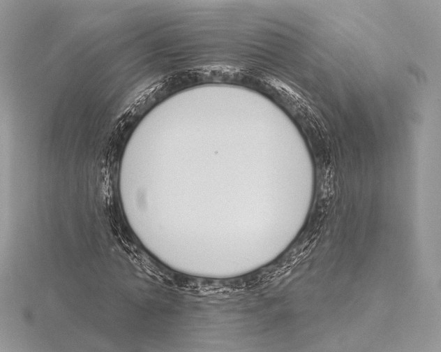 X0000115710774200912101236