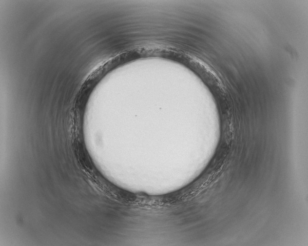 X0000115710775200912101236