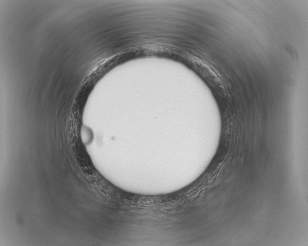 X0000115710776200912101236