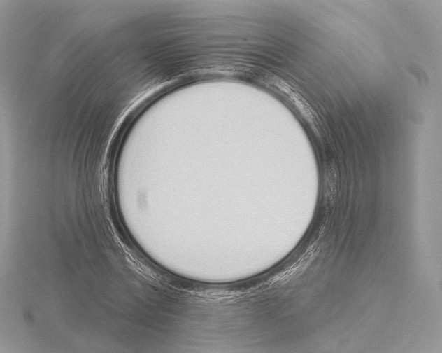 X0000115710779200912101236