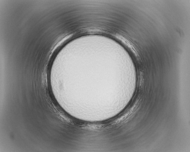 X0000115710782200912101236