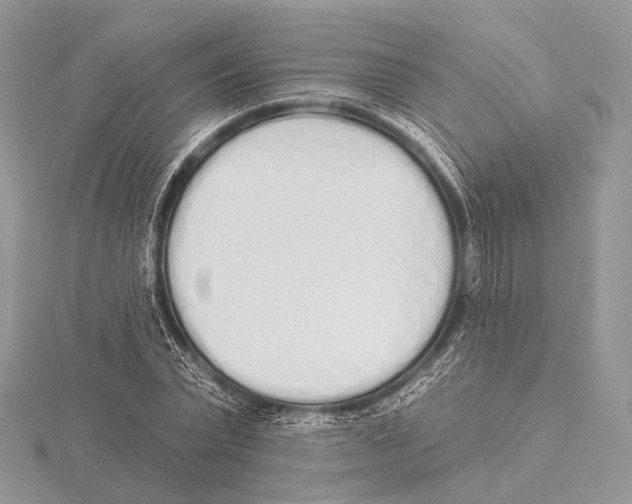 X0000115710783200912101236