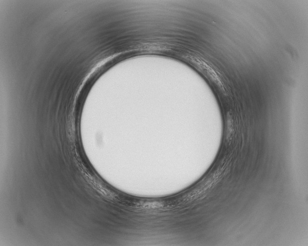 X0000115710784200912101236