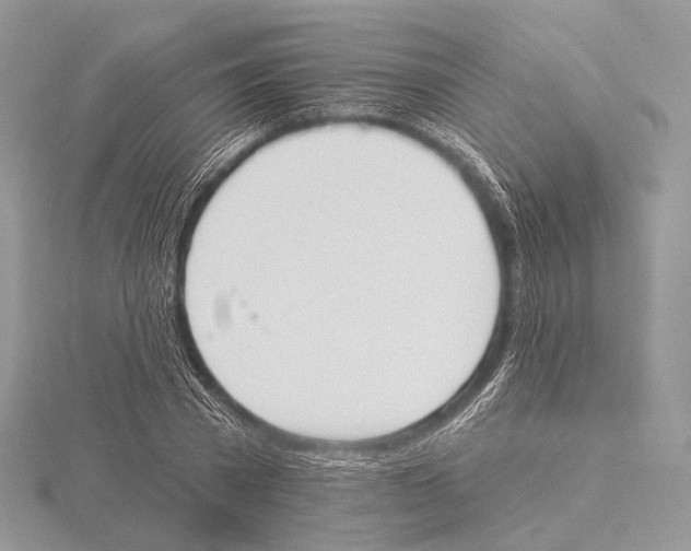 X0000115710785200912101236