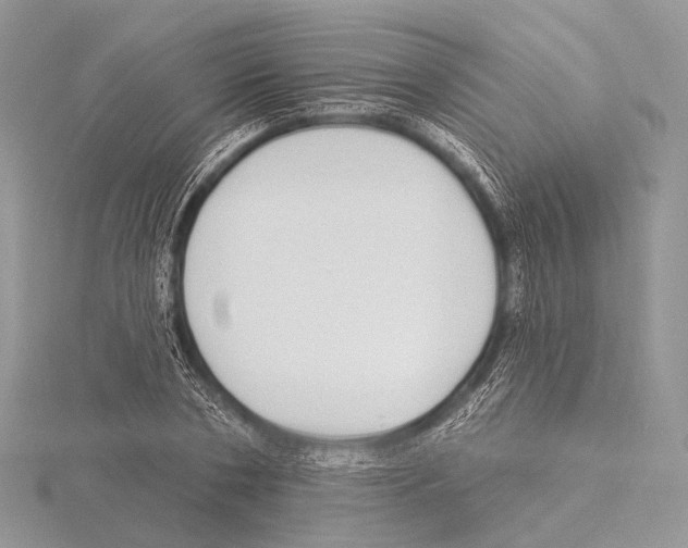 X0000115710786200912101236