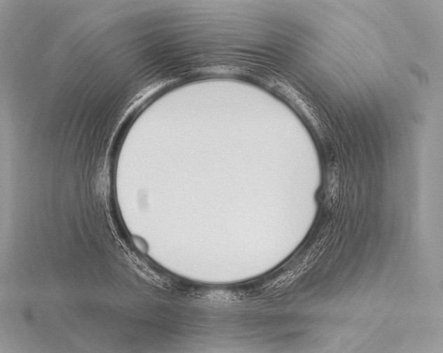 X0000115710787200912101236