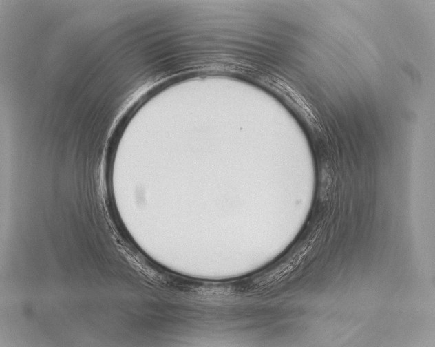 X0000115710788200912101236