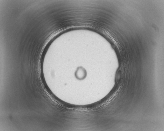 X0000115710789200912101236