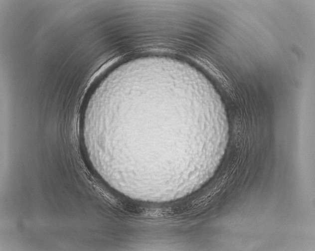 X0000115710790200912101236