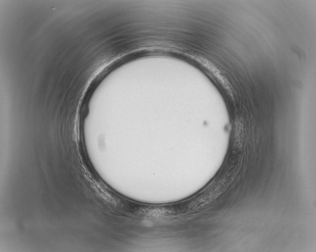 X0000115710791200912101236