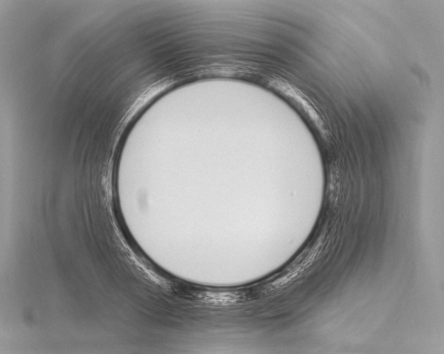 X0000115710794200912101236