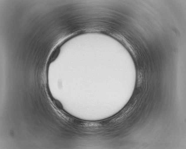 X0000115710795200912101236