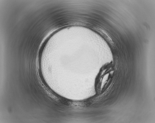 X0000115710796200912101236