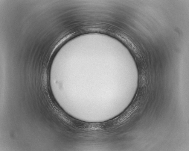 X0000115710798200912101236