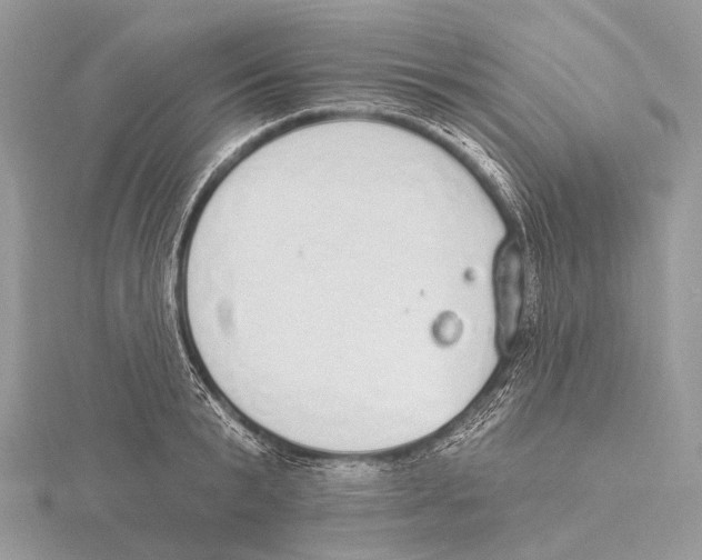 X0000115710799200912101236