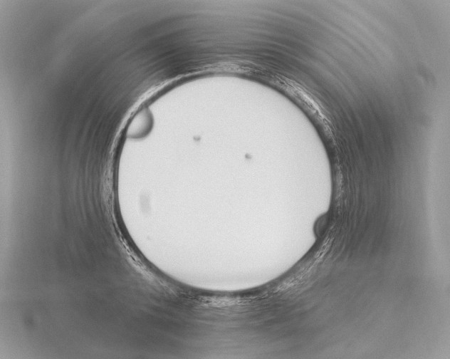 X0000115710800200912101236