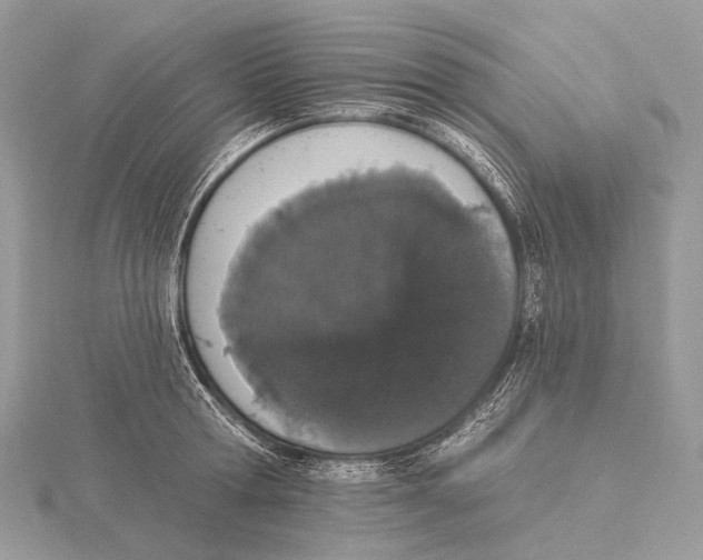 X0000115710802200912101236