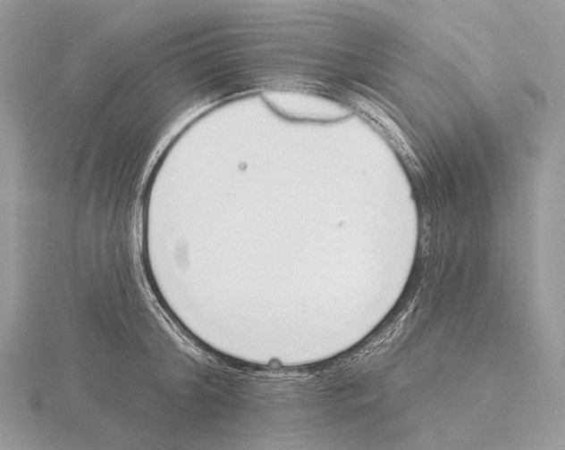 X0000115710804200912101236