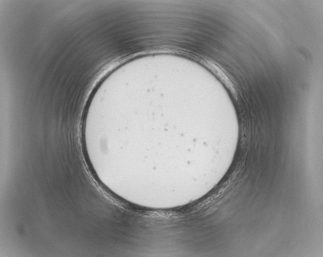 X0000115710805200912101236