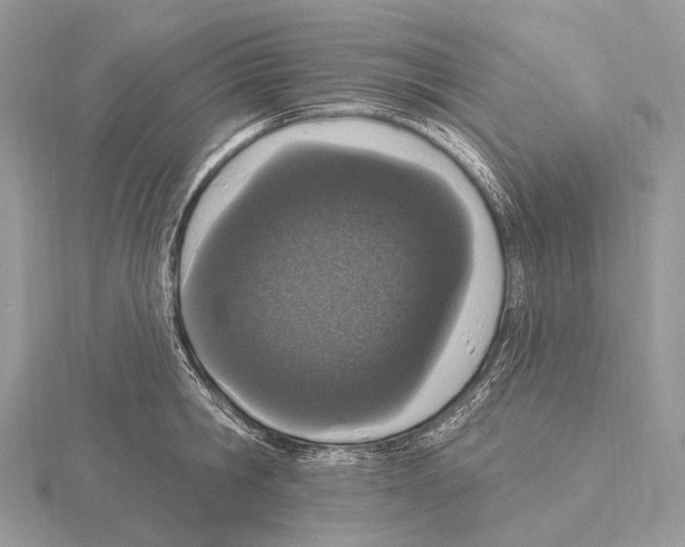 X0000115710806200912101236