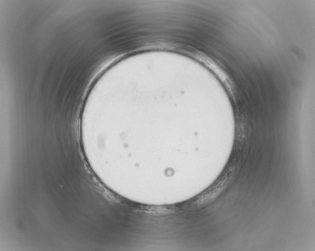 X0000115710807200912101236