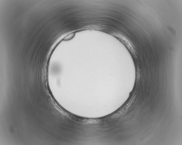 X0000115710808200912101236