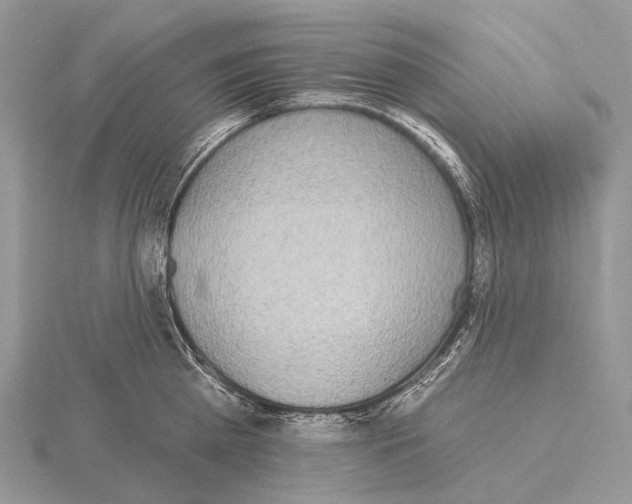 X0000115710809200912101236