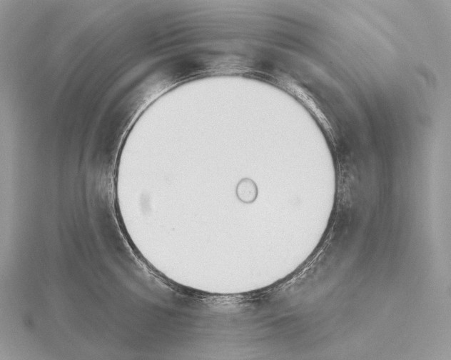 X0000115710810200912101236