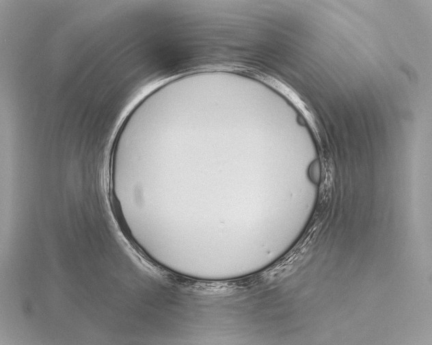 X0000115710811200912101236