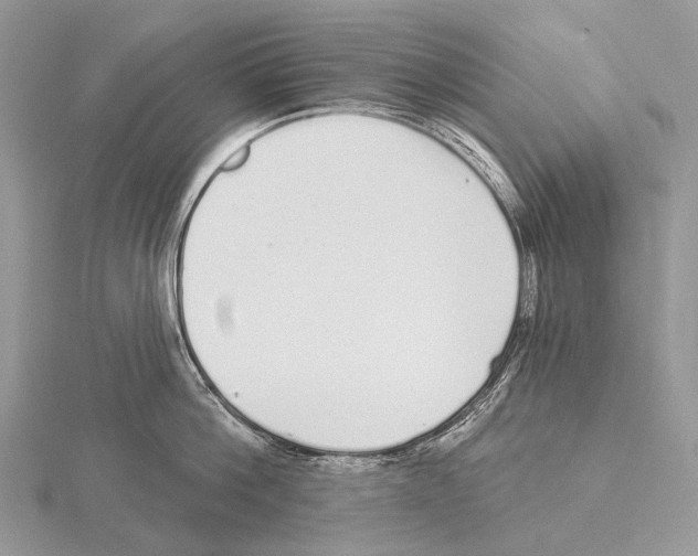 X0000115710812200912101236