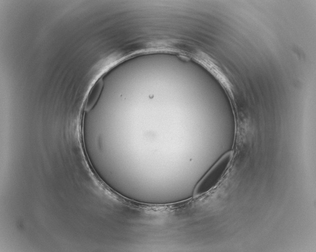 X0000115710813200912101236