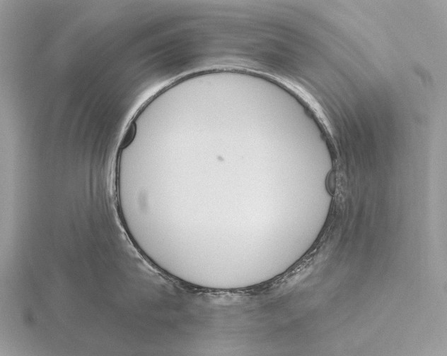 X0000115710815200912101236