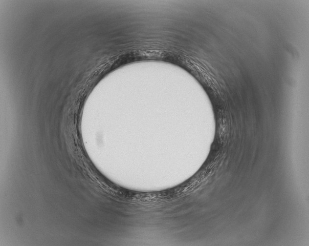 X0000115710817200912101235