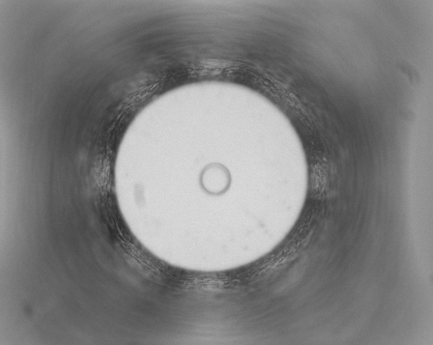 X0000115710820200912101235