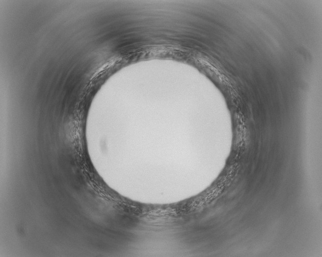 X0000115710824200912101235