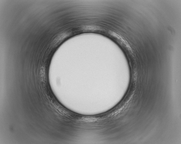 X0000115710825200912101235