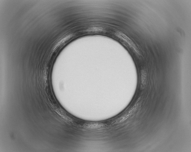 X0000115710826200912101235