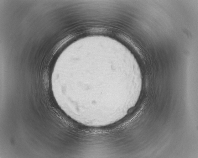 X0000115710829200912101235