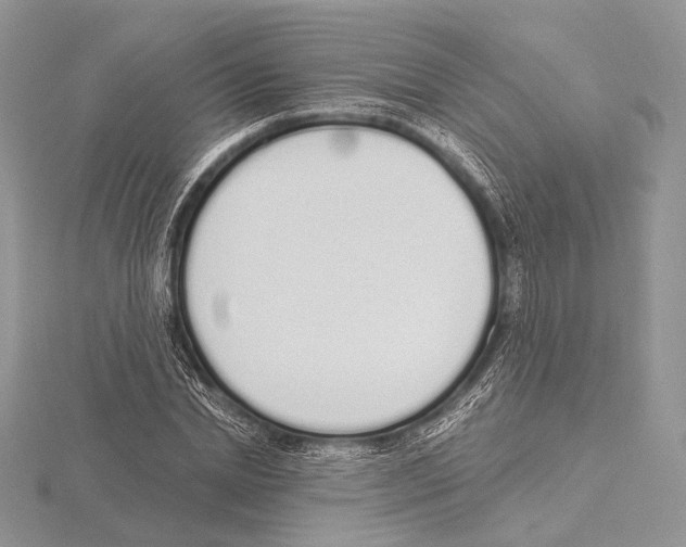 X0000115710830200912101235