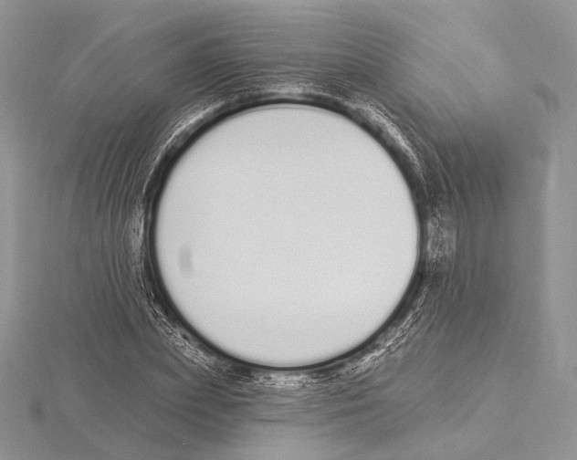 X0000115710831200912101235