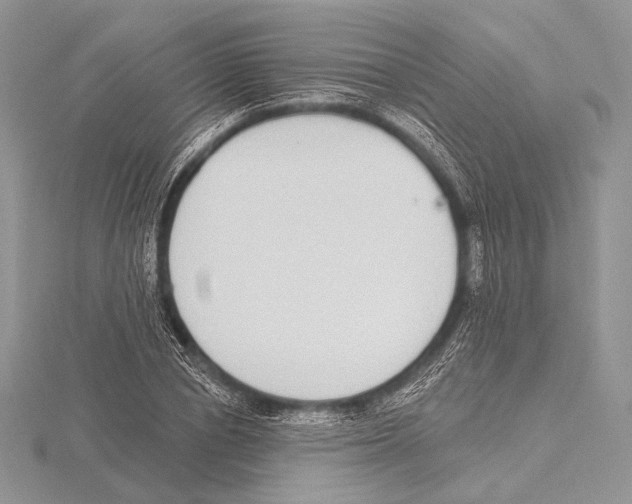 X0000115710834200912101235