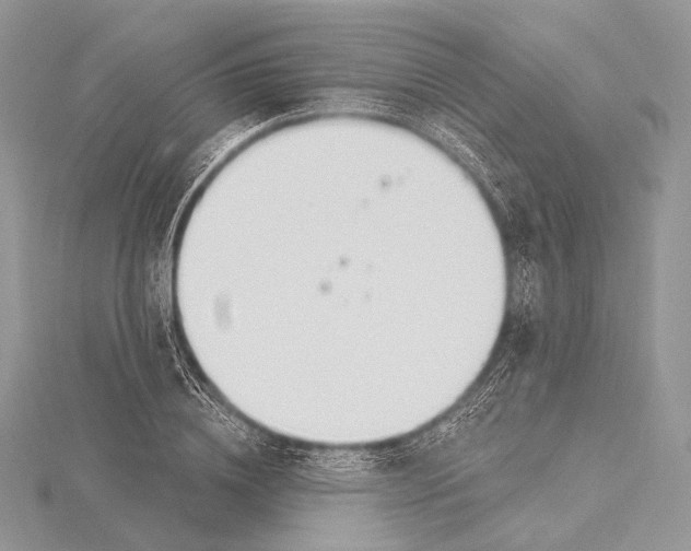 X0000115710836200912101235