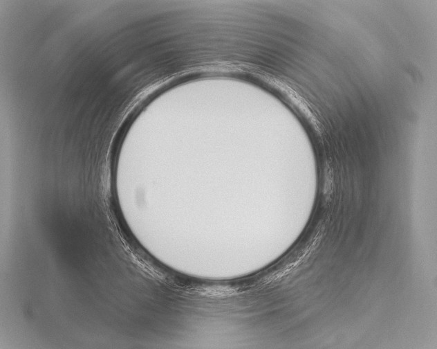 X0000115710837200912101235