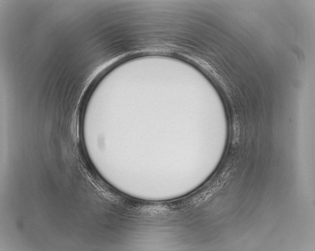 X0000115710838200912101235