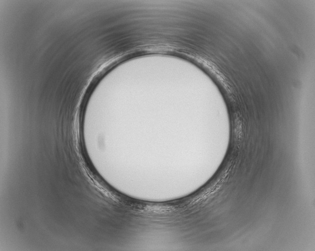 X0000115710840200912101235