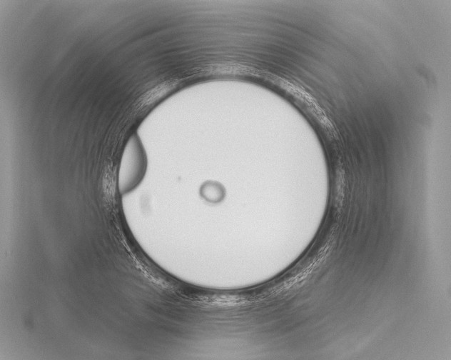 X0000115710841200912101235